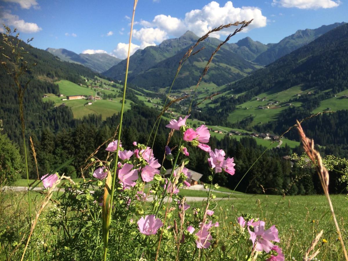 Apartment Haus Dahoam Alpbach Dış mekan fotoğraf