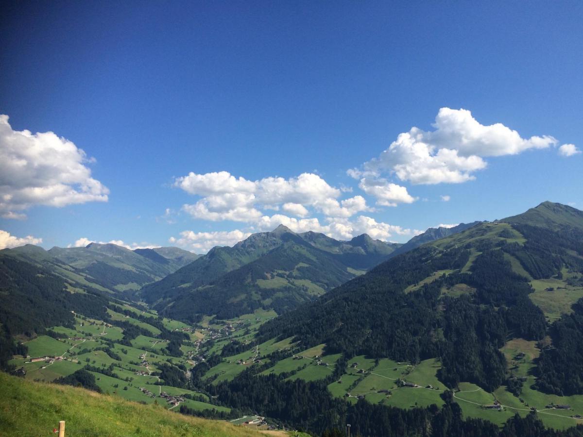 Apartment Haus Dahoam Alpbach Dış mekan fotoğraf