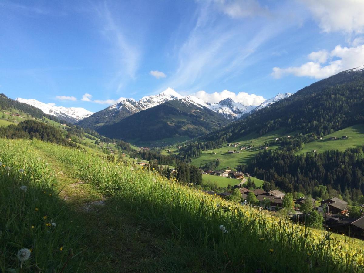 Apartment Haus Dahoam Alpbach Dış mekan fotoğraf