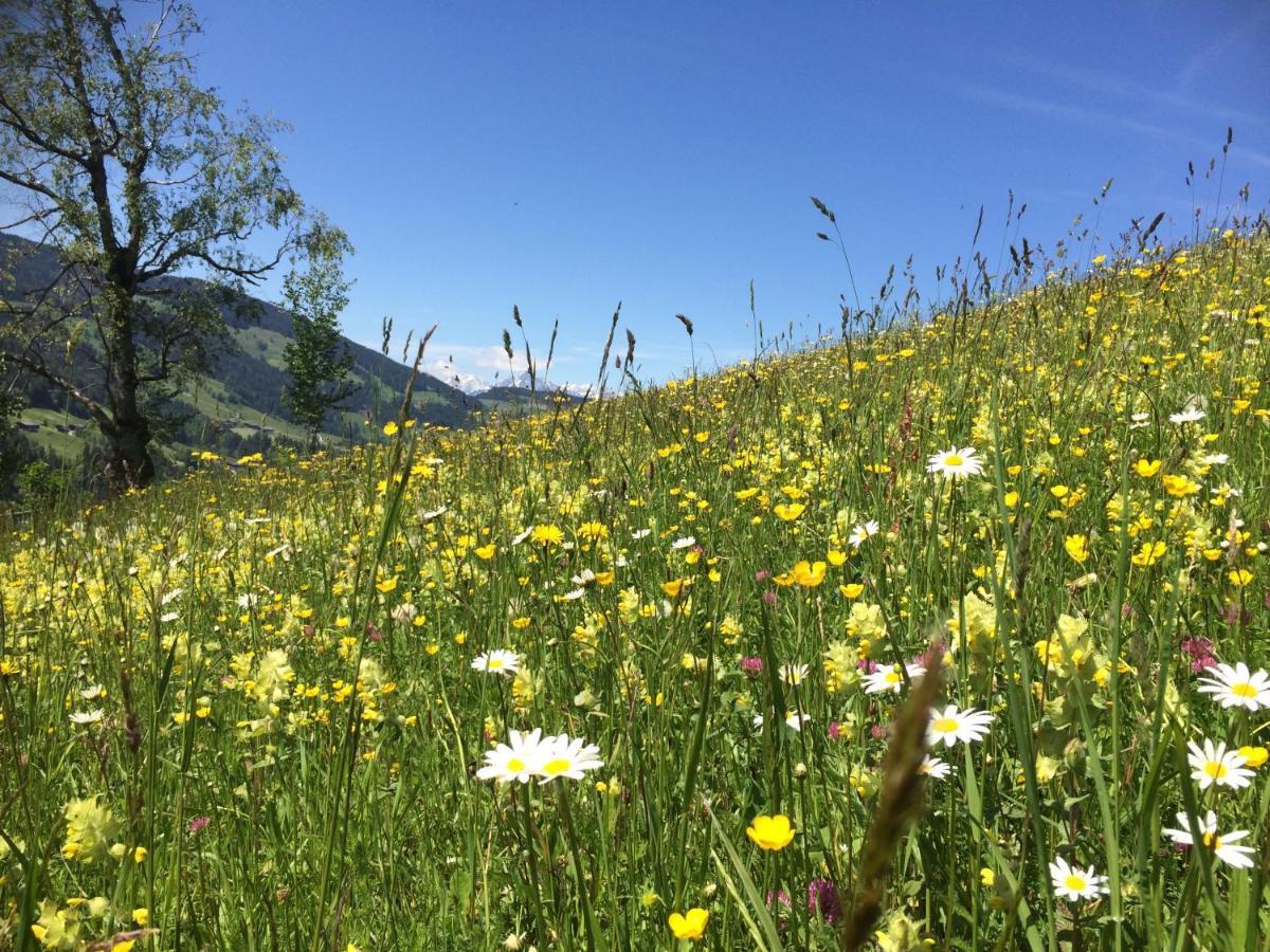 Apartment Haus Dahoam Alpbach Dış mekan fotoğraf